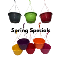 27CM PLASTIC HANGING POTS / BASKETS PLANTERS X10 - VARIOUS COLOURS
